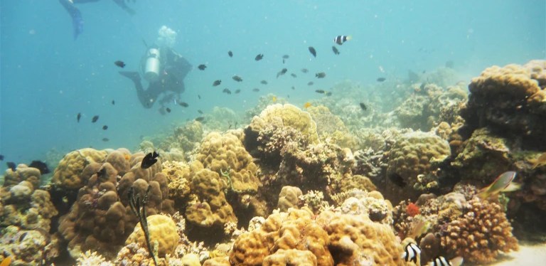 Samal Island: More Reasons to be&nbsp;Back