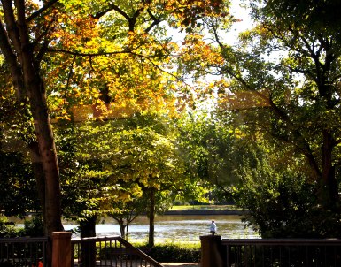 Along the Rhine River, Frankfurt am Main