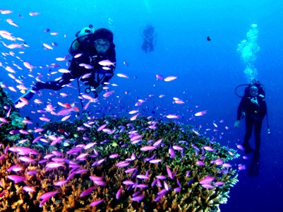 A dive buddy is always visible!