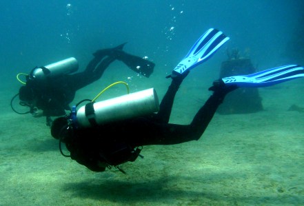 Dive buddies stick to each other