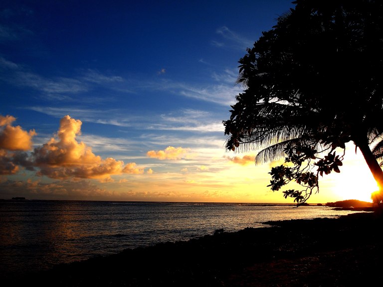 Breathtaking Sunrise in Ocean 101