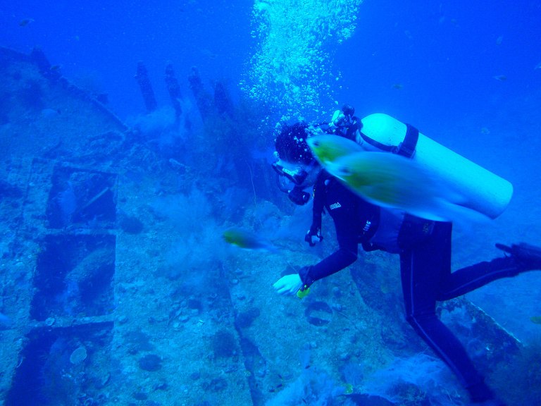 Coron Wrecks in My Mind