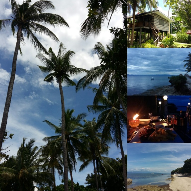 IMG_20171121_132712[1]