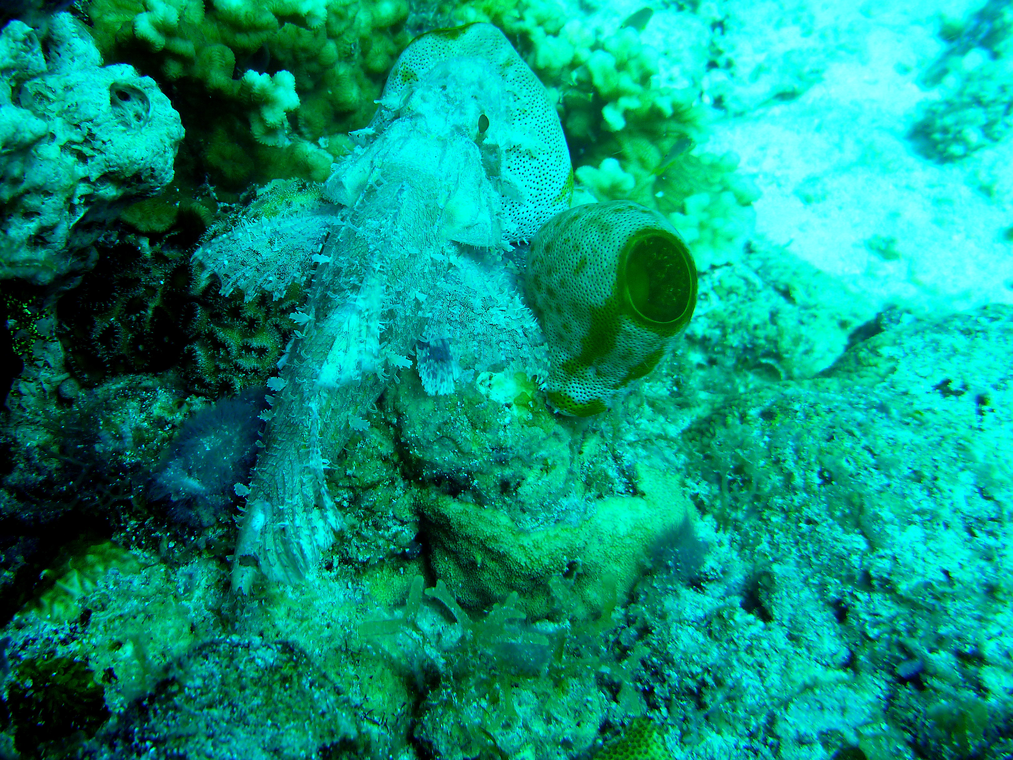 P1060661