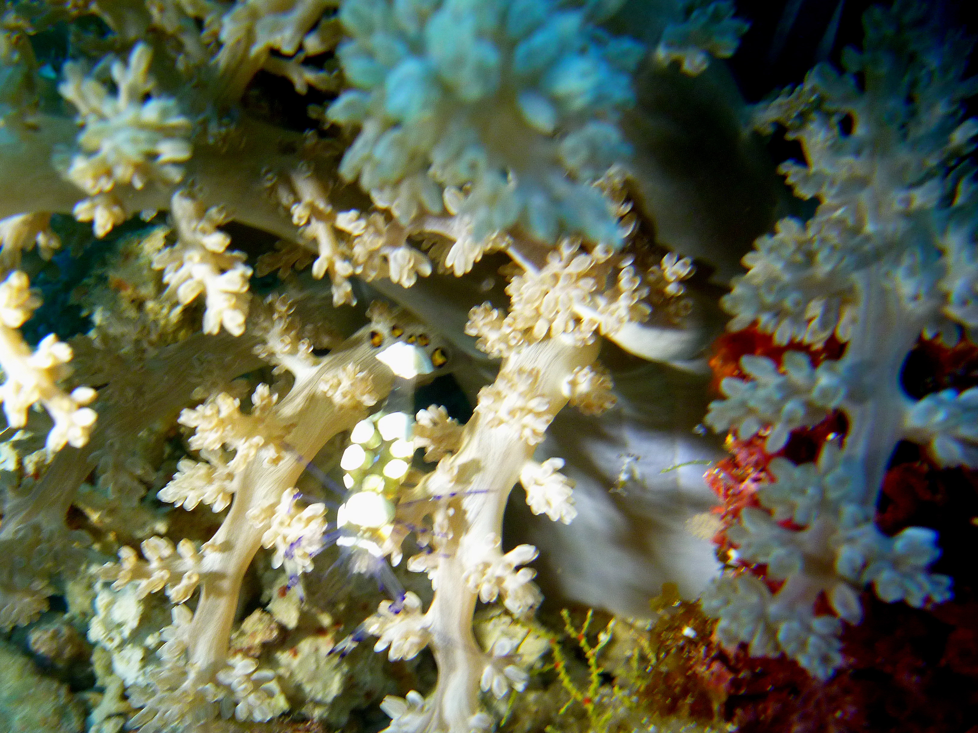 P1060686 a