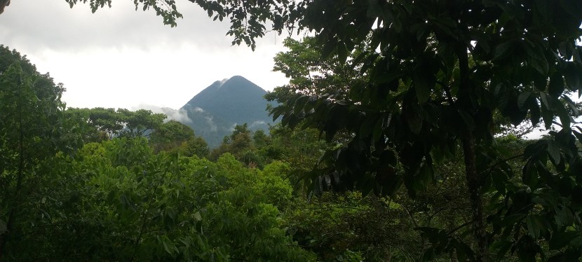 Reef to Ridge&nbsp;Detour